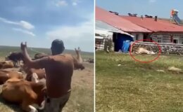 Bir ilimizde durum vahim! “Nerede bu yetkililer?” diyerek isyan etti: Allah sen yardım et