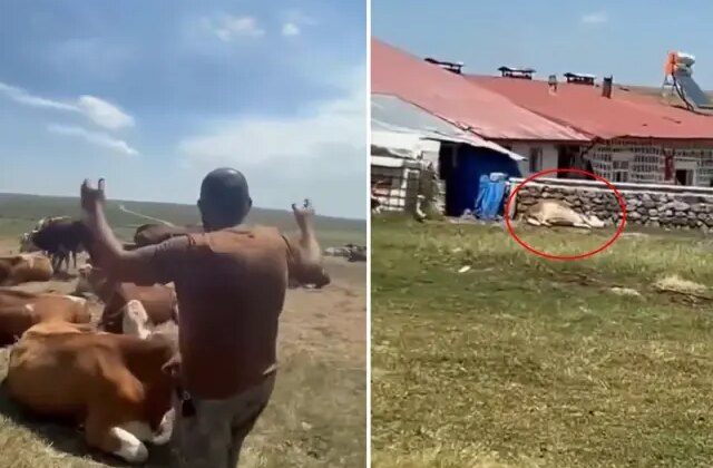 Bir ilimizde durum vahim! “Nerede bu yetkililer?” diyerek isyan etti: Allah sen yardım et