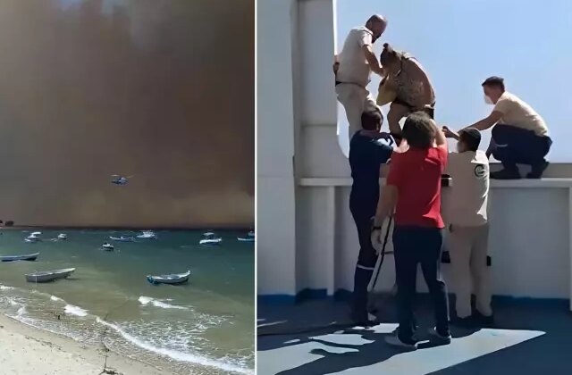 Çanakkale Boğazı duman altında kaldı, vatandaşlar deniz yoluyla tahliye edilmeye başlandı