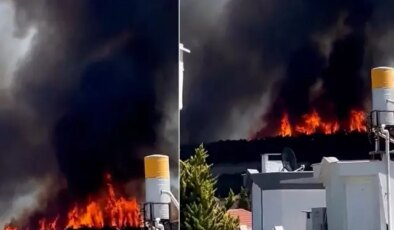 4 ilde orman yangınıyla mücadele! Alevler hızla ilerliyor, tahliyeler başladı