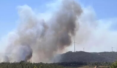 Çanakkale’de yine orman yangını! Kaz Dağları tehdit altında