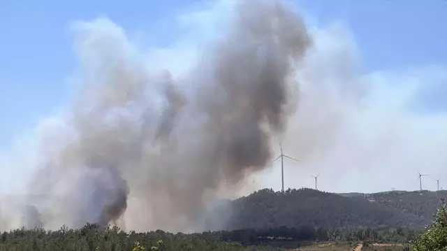 Çanakkale’de yine orman yangını! Kaz Dağları tehdit altında