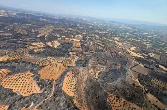 Bakan Yumaklı: Çanakkale’deki orman yangınları kontrol altına alındı