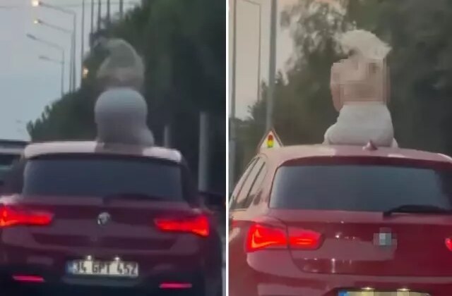 Otomobil üzerinde dans eden kadına ceza