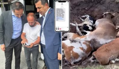 CHP’li Özgür Erdem İncesu’dan bomba iddia: Yapılmayan şap aşısının parasını istiyorlar