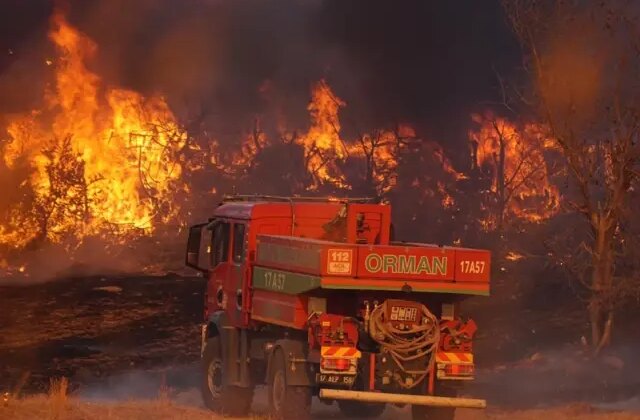 Ciğerlerimiz alev alev! 4 şehrimizde orman yangını