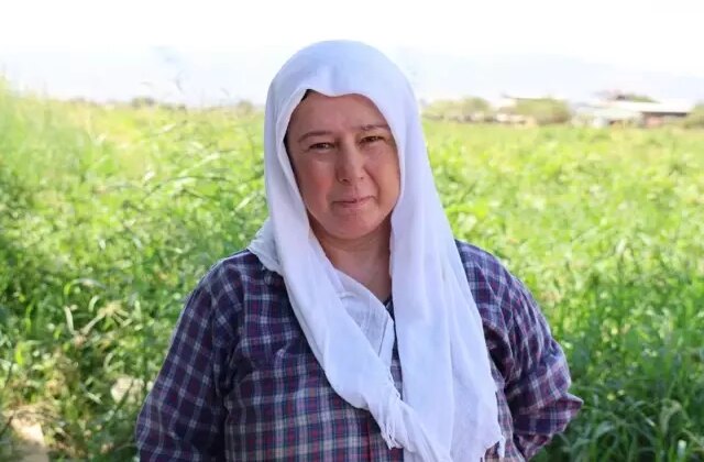 Çöl sıcağında ekmek mücadelesi: Öğlen 12’ye kadar çalışıp 1500 TL alıyorlar
