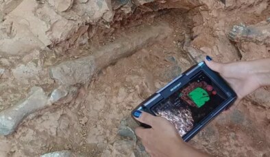 Denizli’deki kazılarda kazmayı vurdukça fosil fışkırdı, 9 milyon yıllık 27 tür bulundu