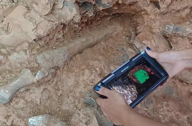 Denizli’deki kazılarda kazmayı vurdukça fosil fışkırdı, 9 milyon yıllık 27 tür bulundu