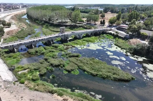 Edirne’de kuraklık alarmı! Tunca Nehri’ni otlar kapladı