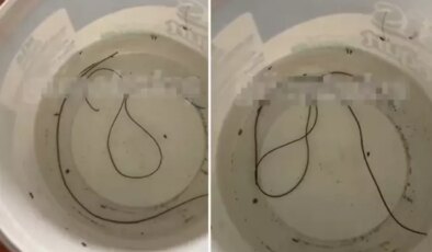 Evindeki musluktan hareket eden cisim çıktı