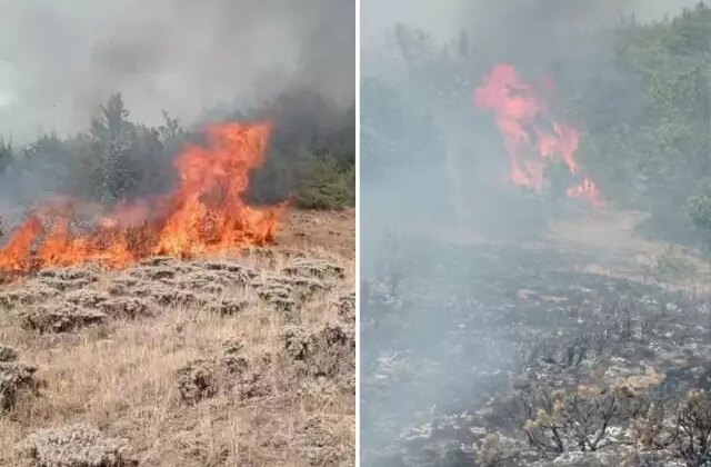 Gümüşhane’de çobanın yaktığı ateş yangına neden oldu