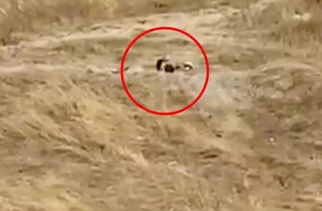 Müftülüğün yanı başında rezalet! Gündüz vakti müstehcen görüntüler