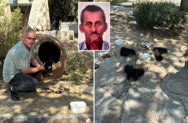 Hain planında çocukları kullanan vicdansız hayvanları zehirleyerek öldürdü