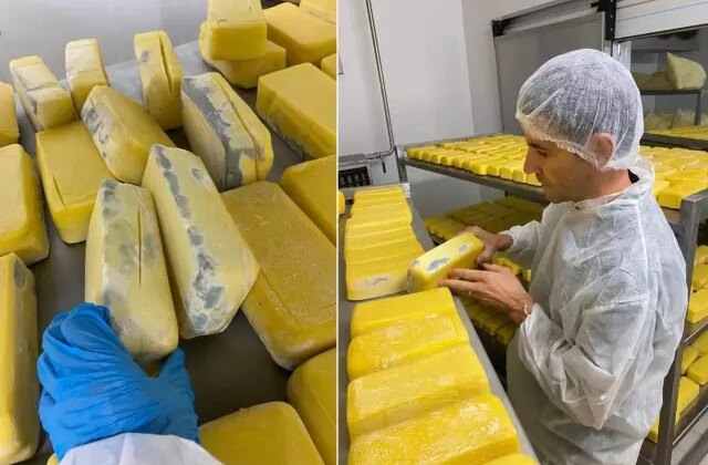 Hepsini vatandaşa yedireceklerdi! Mide bulandıran manzara, tam 1,5 ton