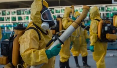 Chikungunya virüsü hızla yayılıyor! 16 ülkede 240 binden fazla vaka, 90 ölü