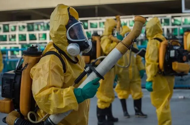 Chikungunya virüsü hızla yayılıyor! 16 ülkede 240 binden fazla vaka, 90 ölü