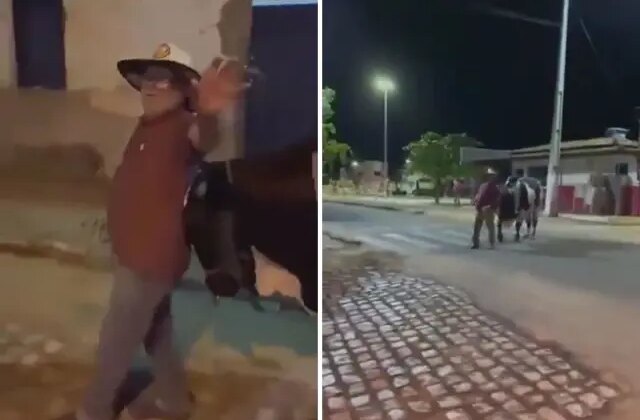 İnanılmaz olay: Kaybolan Sarhoş adamı kendi boğası bulup eve götürdü