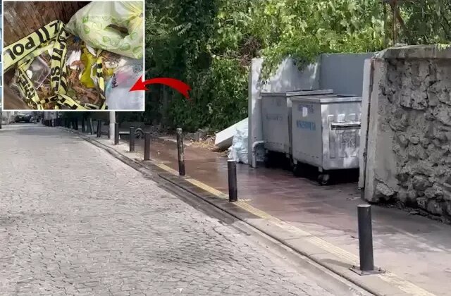 İstanbul’da çöpte yanmış bebek cesedi bulundu