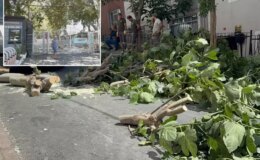 İstanbul’u fırtına vurdu! Ağaçlar devrildi, Gülhane Parkı kapatıldı