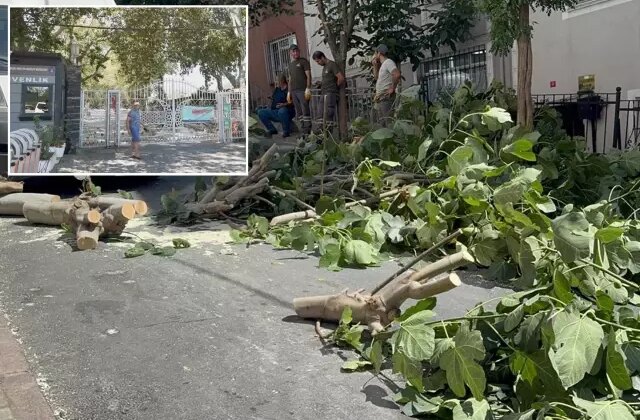 İstanbul’u fırtına vurdu! Ağaçlar devrildi, Gülhane Parkı kapatıldı