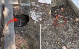 İstanbul’un göbeğindeki mezarlıkta isyan ettiren görüntüler
