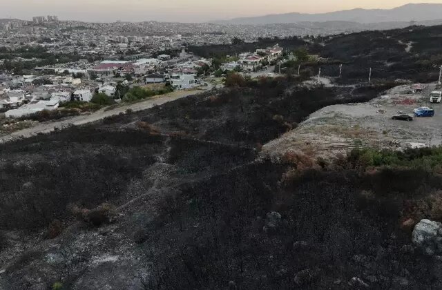 İzmir’de minibüste çıkıp ormana sıçrayan yangın kontrol altına alındı