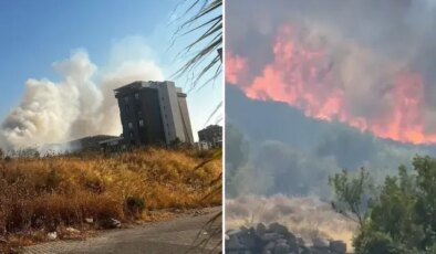İzmir’in Buca ve Aliağa ilçelerinde orman yangını