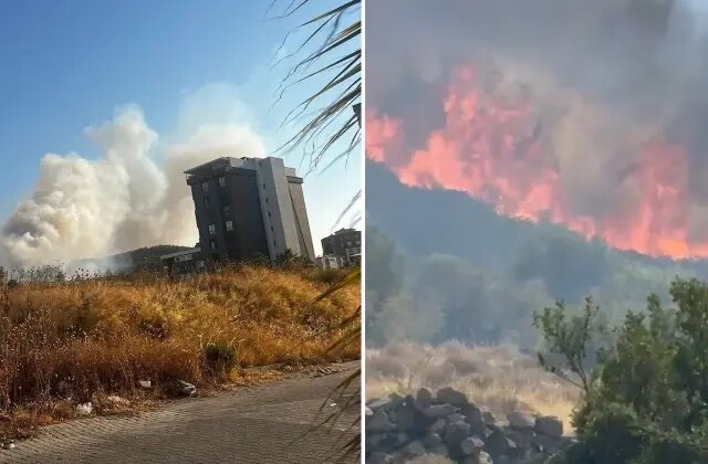 İzmir’in Buca ilçesinde orman yangını! Alevler hızla ilerliyor
