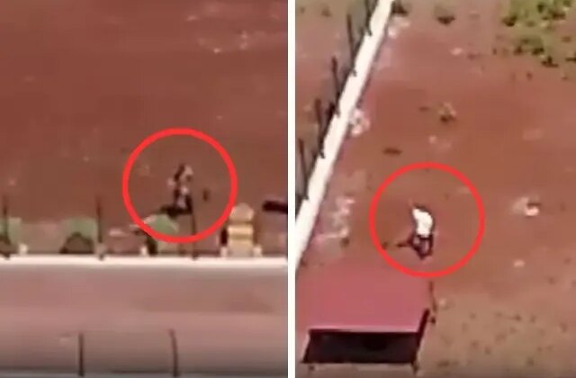 Kars’taki köpeklere şiddet görüntülerine jet soruşturma