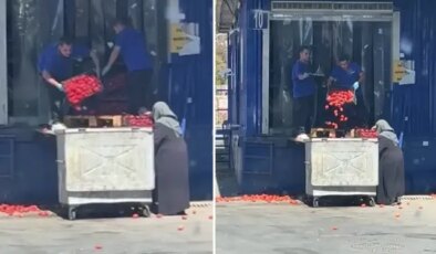 Kasalarca domatesin çöpe atıldığı olay bambaşka çıktı