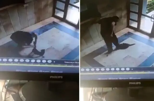 Kediyi vahşice öldüren caninin ifadesi ortaya çıktı: Onu can düşmanım gibi gördüm