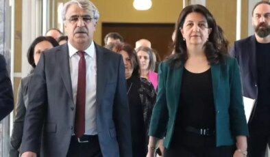 Komisyon kurulduktan sonra bir ilk! DEM Parti heyeti İmralı’ya gidiyor