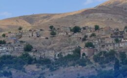 Köyü istila ettiler! Bir ısırığı hayattan koparıyor