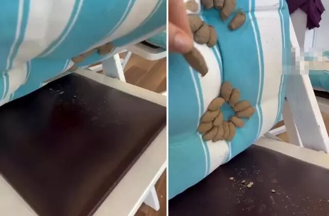 Minderini kaldıran kadın, dehşet verici manzarayla karşılaştı
