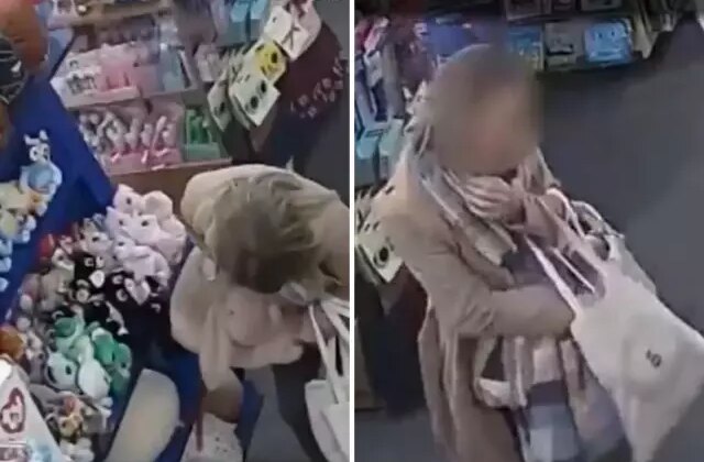 Peluş oyuncakları pantolonuna doldurarak çaldı