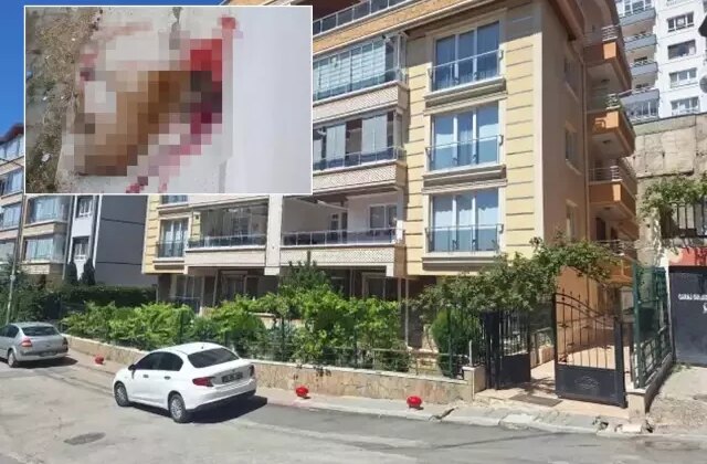 Polis memuru sokak köpeğini vurarak öldürdü