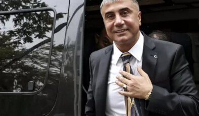 Sedat Peker, Minguzzi sessizliğini bozdu: Ben devletin çocuğuyum