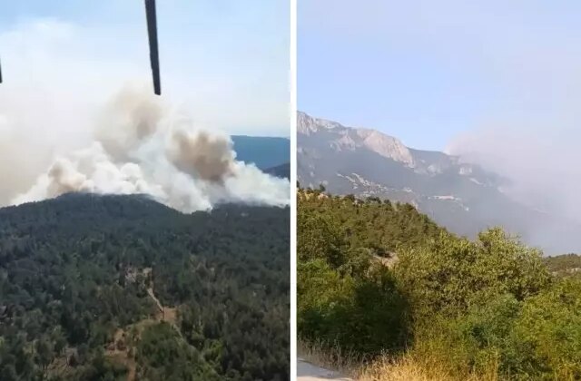 Sinop’ta orman yangını! Bir köy tahliye edildi