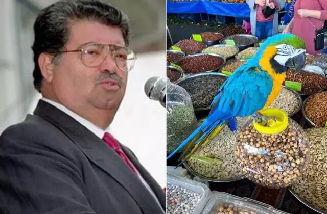 Turgut Özal’ın papağanı yine çalındı
