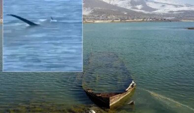 “Van Gölü canavarı” tartışmalarını alevlendirecek yeni görüntü
