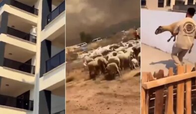İnsanlığımızdan utandık! Yangında kaçan çoban ve koyunları siteye alınmadı