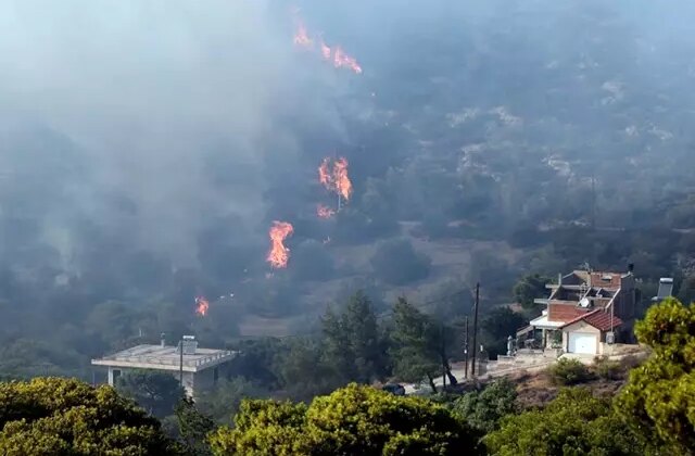 Komşuda orman yangınıyla mücadele! 1 kişi hayatını kaybetti, ekolojik felaket yaşanabilir