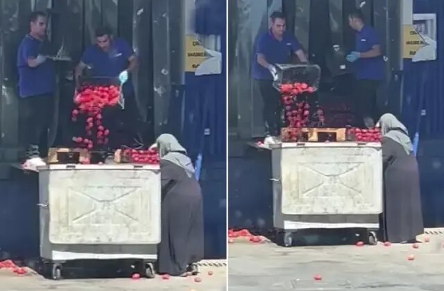 Zincir market kasalar dolusu domatesi çöpe döktü