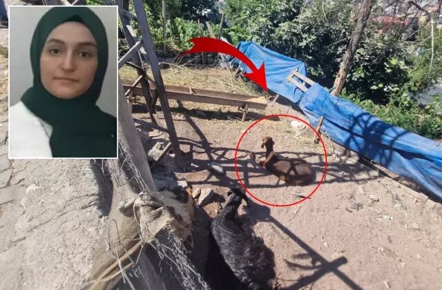 22 yaşındaki genç keçiye dokunduğu an elektrik akımına kapılarak hayatını kaybetti