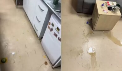 Baba ve oğlu doktoru tost makinesiyle darbetti