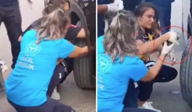 Bakan Yılmaz Tunç’un konvoyundaki araca yavru kedi sıkıştı