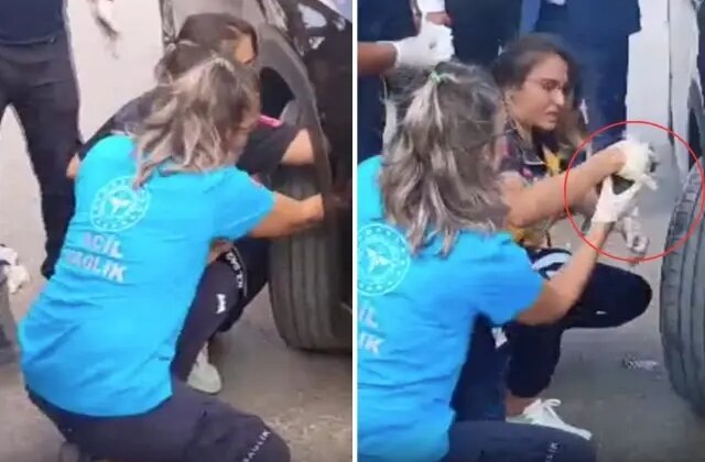 Bakan Yılmaz Tunç’un konvoyundaki araca yavru kedi sıkıştı