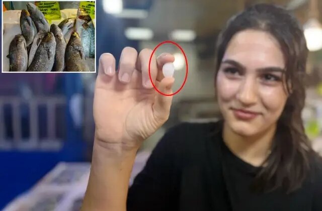 Balık 650, başındaki taş 10 bin lira