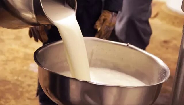 Çiğ süt referans fiyatına yüzde 6,8 zam